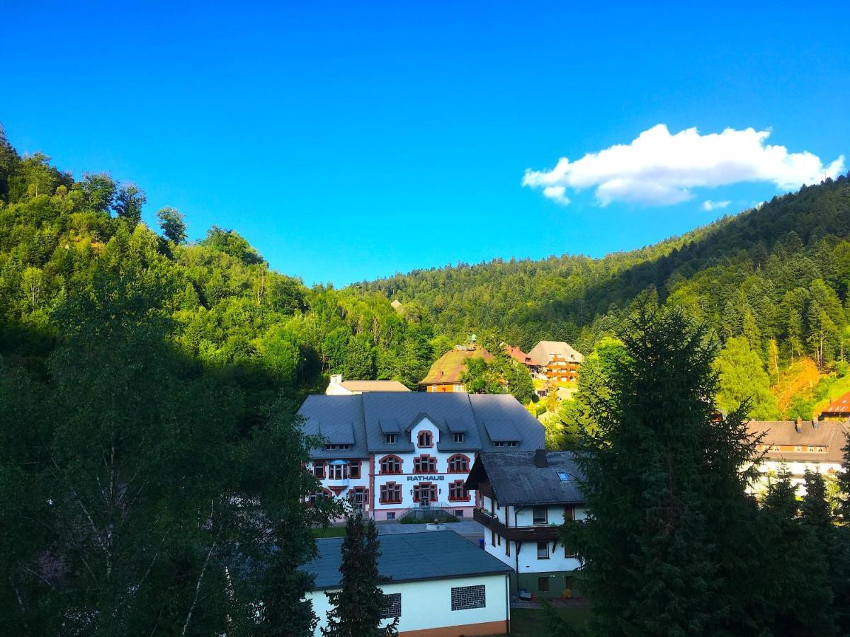Ferienwohnung Schwarzwald Todtmoos Exterior foto