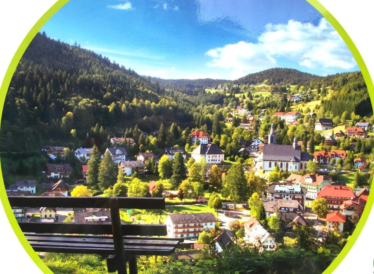 Ferienwohnung Schwarzwald Todtmoos Exterior foto